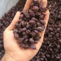 مویز و کشمش