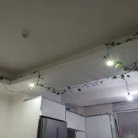 گل .|گل و گیاه طبیعی|تهران, عباسی|دیوار