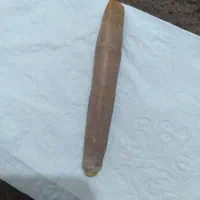عرج بحری زنده