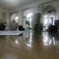 فروشنده حرفه ای