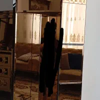 ساعت ایستاده آینه ایی ودوتا پاف ویک آواژور