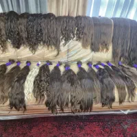 خریدارموی طبیعی ورنگی