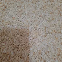 اصلی