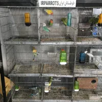 قفس ۸خان سه طبقه با پایه
