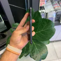 Iphone 8 plus|موبایل|رشت, چله خانه|دیوار
