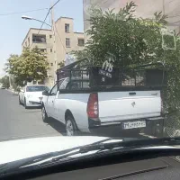 بارنبد کفی مبلی اریسان2