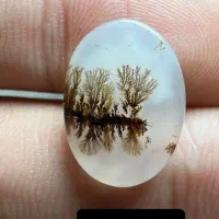 نگین شجر قائن