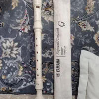 فلوت یاماها اصل مدل ایگرگ آر اس