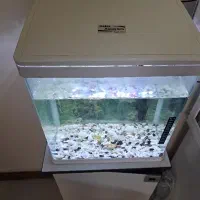 آکواریوم دلسا k390 با پایه