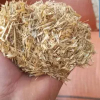 با سلام فروش کاه کاه تمیز