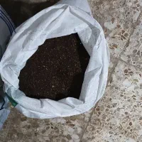 پروماک کنسانتره ای که صنعت دام را بصرفه میکند