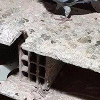 مایل به معاوضه