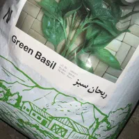 بذر ریحان