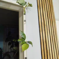 نقاشی و دکوراسیون و زیباسازی منزل