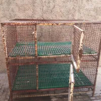 قفس جای  مرغ  زنده  همراه  دان  خوری