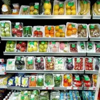 استخدام نیروی خانم جهت تهیه محصولات خانگی