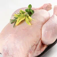 پخش کلی و جزئی مرغ و قطعه بندی مرغ