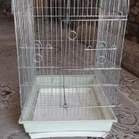قفس بزرگ
