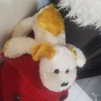 ۴عدد عروسک بزرگ و یکی کوچیک