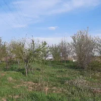 فروش فوری زمین کشاورزی