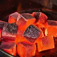 زغال پسته حبه ای تولیدکننده مستقیم