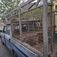 باربند مزدا ۲۰۰۰ دوکابین با تاج خیلی بزرگ