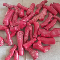 سنگ مرجان اصل