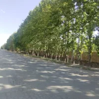 باغچه 350متری سند تک برگ خیابان تعاون
