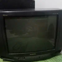 تلویزیون
