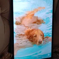 tab s7 fe