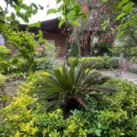 ویلاباغ سرسبز ۲۶۰متری حیاط سازی شده