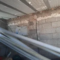 تعدادی پلیکا سالم