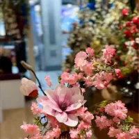 آرایشگری