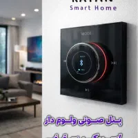 خانه هوشمند رایان سیستم صوتی