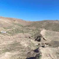 ۴۰راس میش گله ای خریدارم