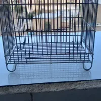 قفس