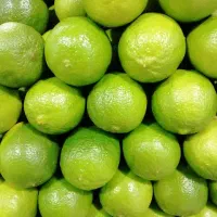 لیمو    خرید   خریدار