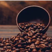 فروش و پخش دان قهوه بصورت جزیی و عمده