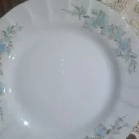 چینی  زرین