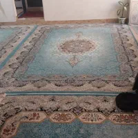 فرش تمیز وسالم