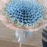آذرین( امادع) شاخه ای۲۲