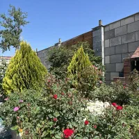 تور بانوان / چالوس، جنگل، تنگه واشی