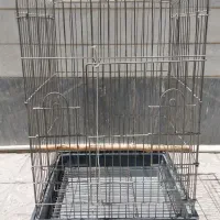 قفس 1033عروس هلندی کاسکو مینا راهب طوطی برزیلی