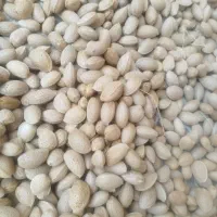 ده کیلو بادام تازه شیرین یک دست امسال