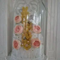 شاخه نبات