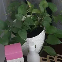 مشاور پوست مو ام‌ان دی