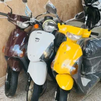 پاکشتی ژاپنی 50cc خشک 00