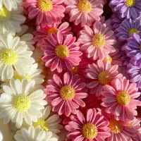 شمع بابونه فروش عمده ای