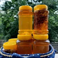 فروش عسل طبیعی اصل