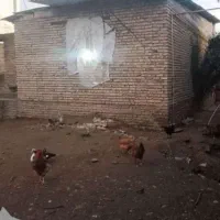 خانه کلنگی 65مترزمین